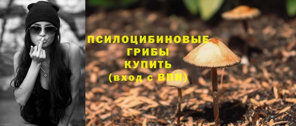 ALPHA PVP Алзамай
