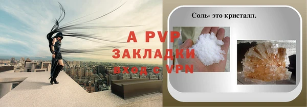 индика Абаза