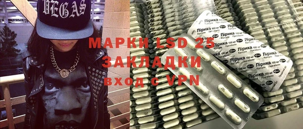 индика Абаза