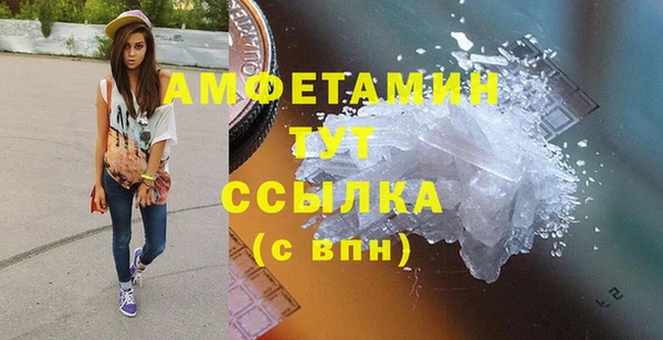 индика Абаза